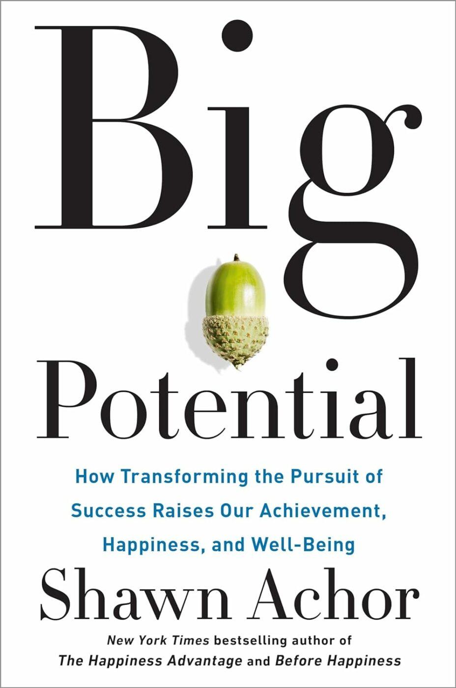 Big Potential by Shawn Achor