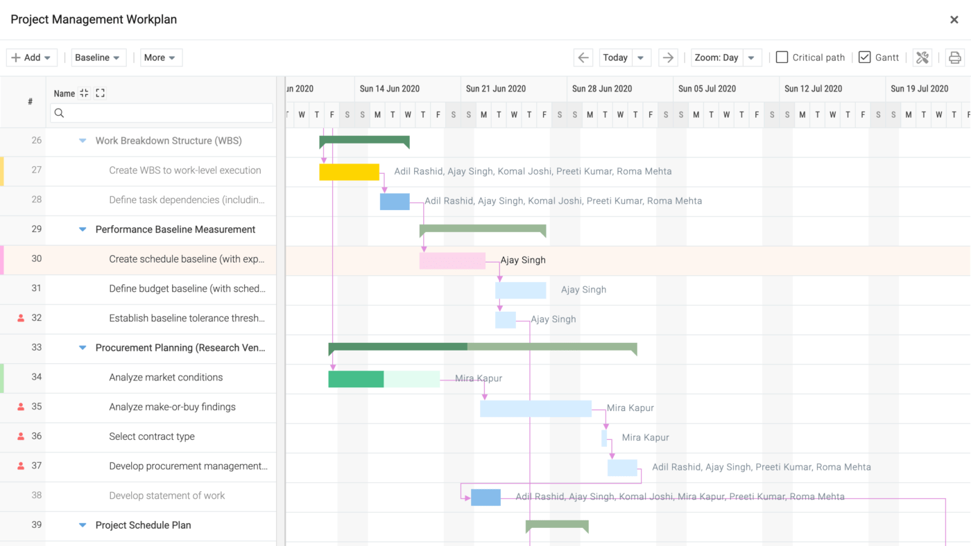 Celoxis Project Management Workplan