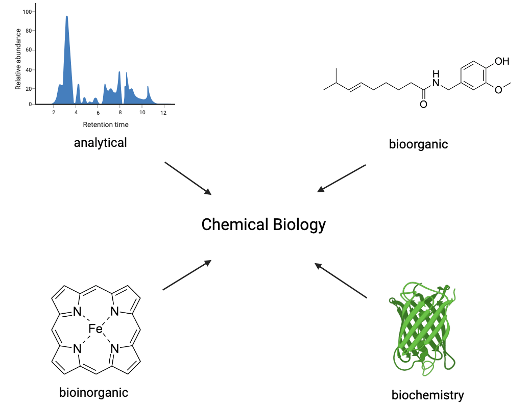 Diagramma di flusso della biologia chimica