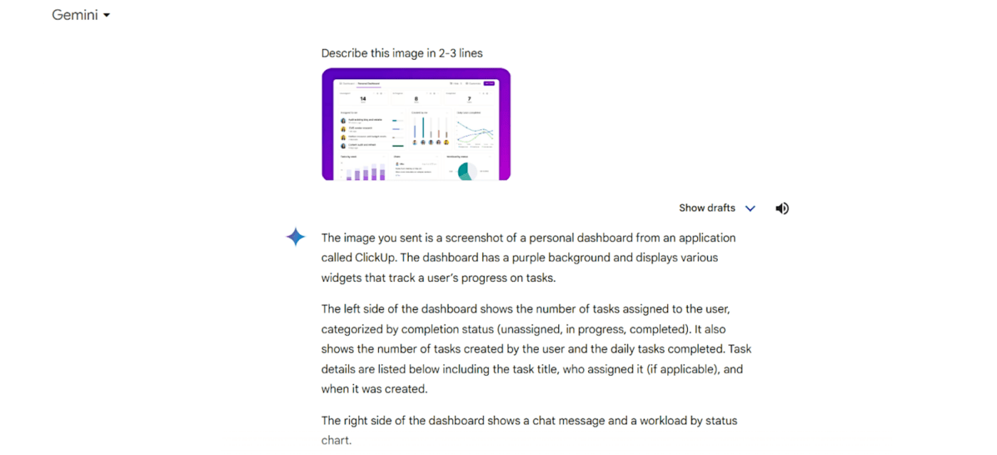 Image analysis by Gemini