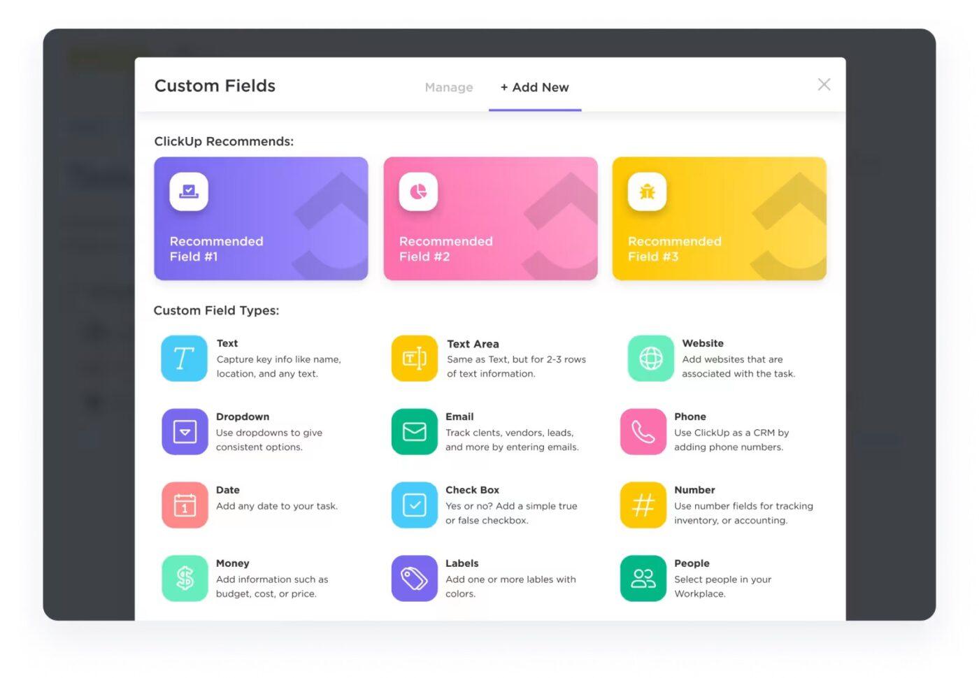 ClickUp’s Custom Fields