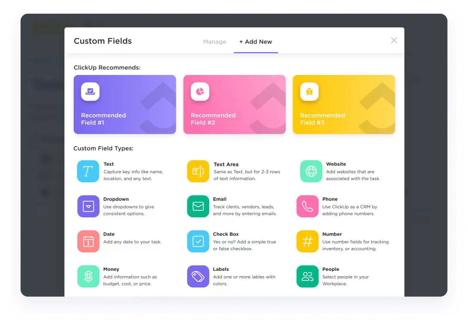 Créez des profils détaillés pour différents segments d'utilisateurs, tels que les designers indépendants ou les équipes d'entreprise, grâce aux champs personnalisés de ClickUp.