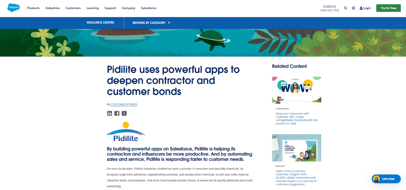 Pidilite and Salesforce case study 