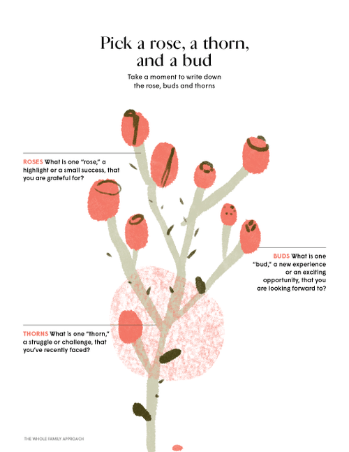 Rose, Bud, and Thorn reflective thinking exercise