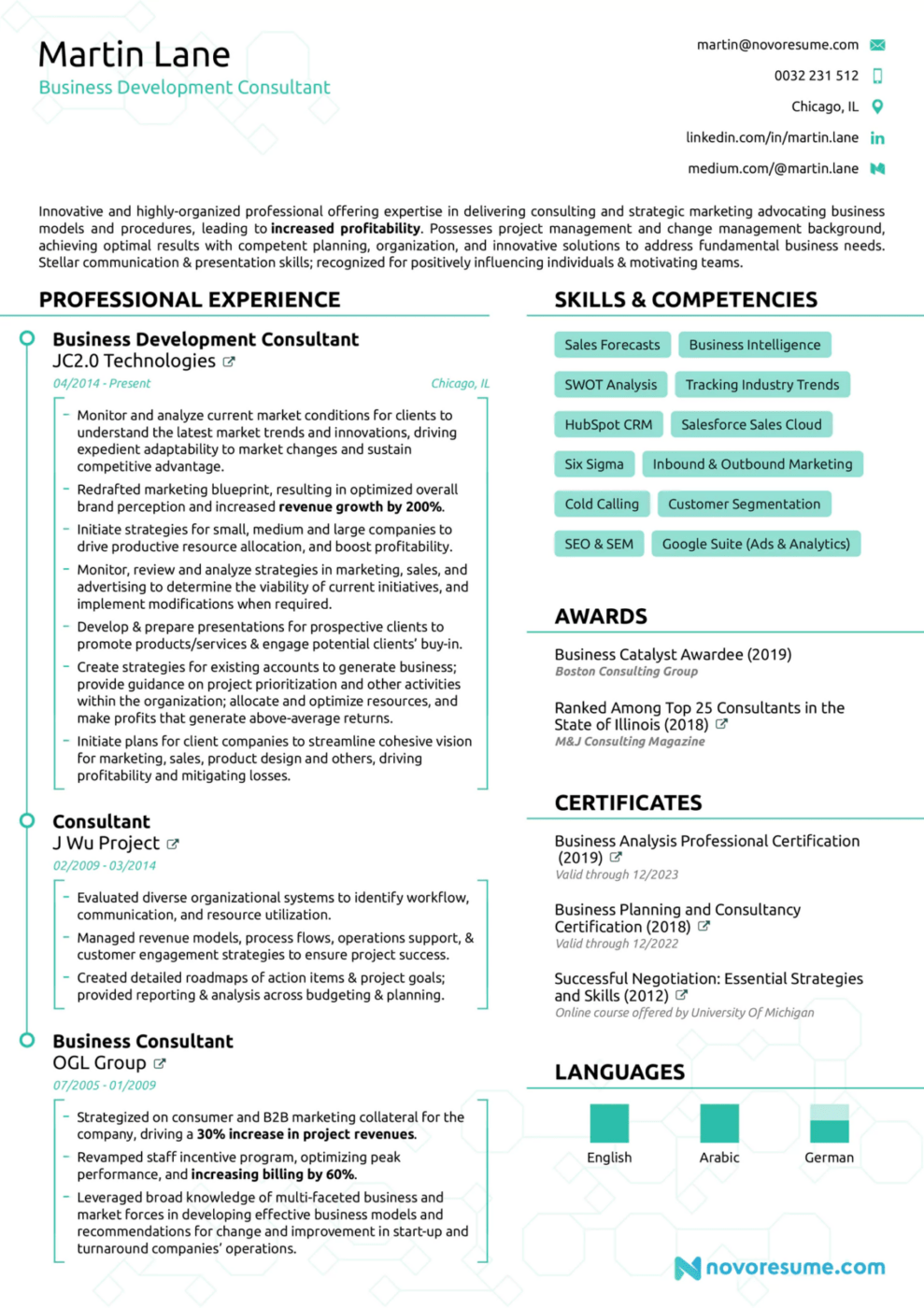 Consultant Resume Example by Novo Resume