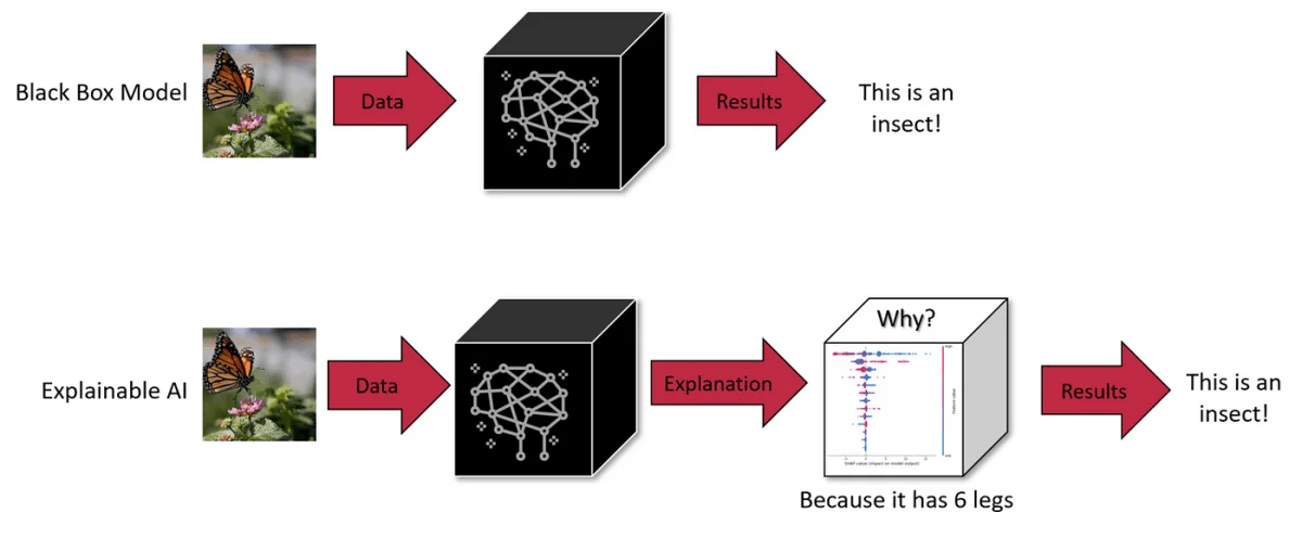 Explainability 