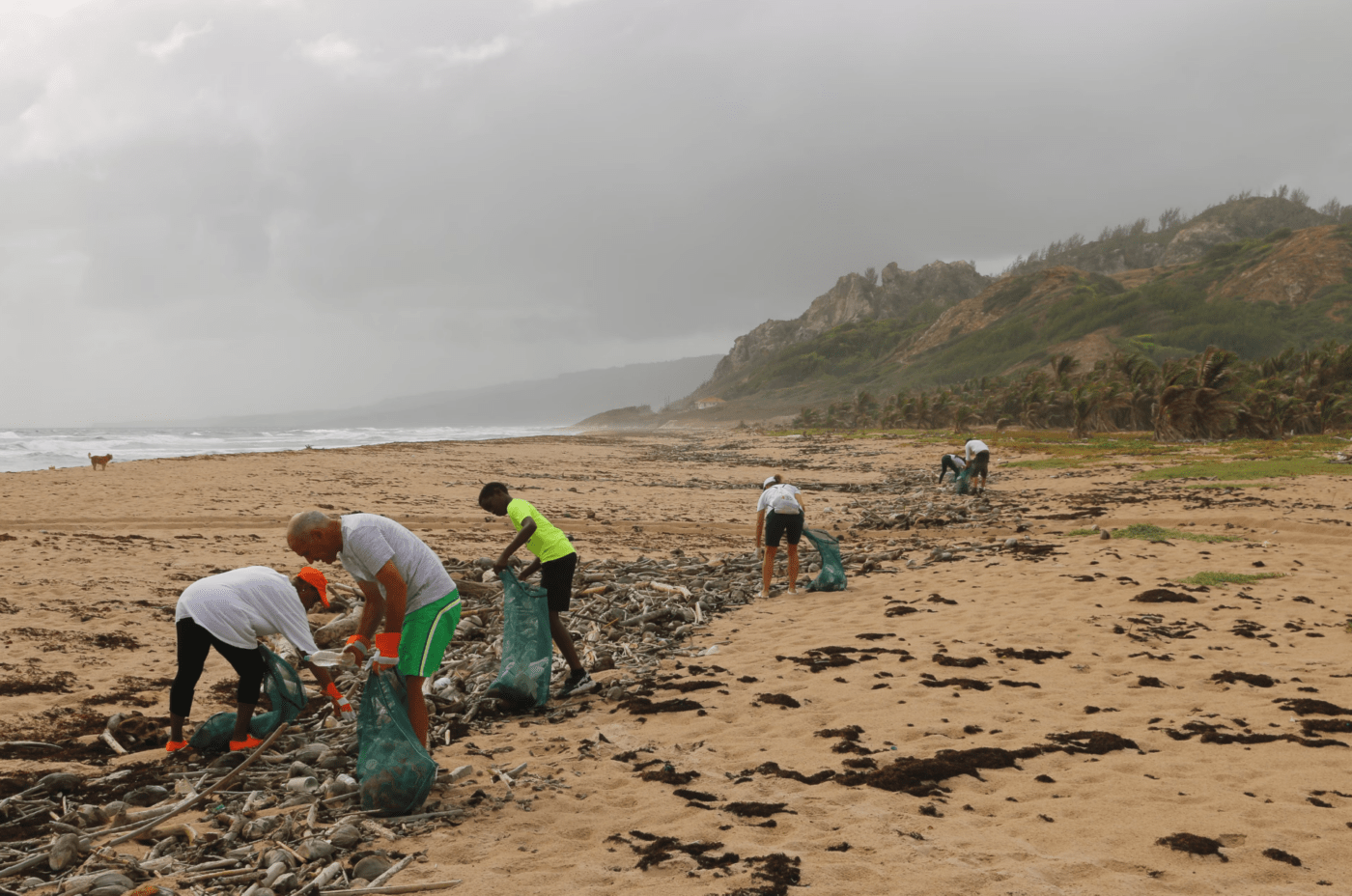 People cleaning trash on a beach