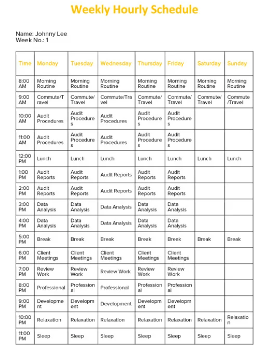 Google Docs Weekly Hourly Schedule Template