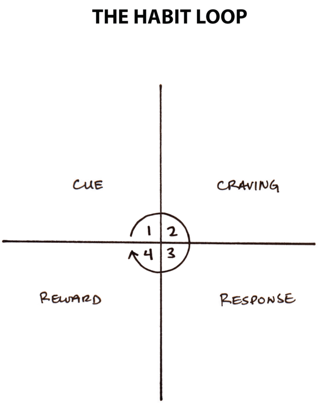 The habit loop