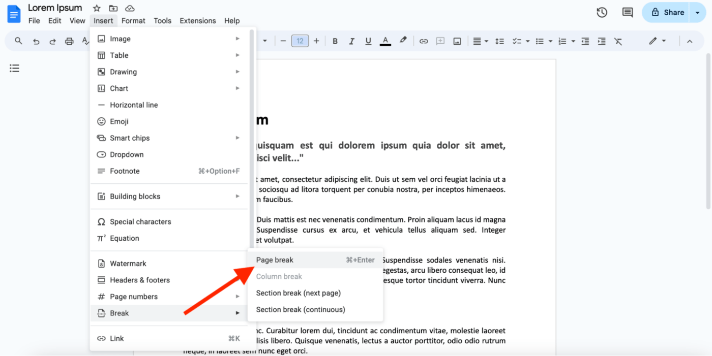 Type of breaks in Google Docs