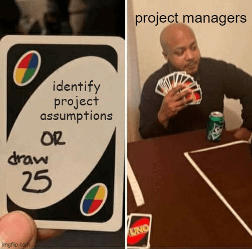 Project assumptions meme