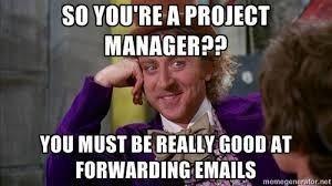 Project manager's superpower meme