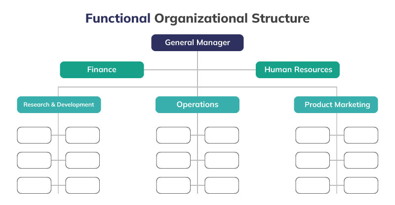 Struktur organisasi fungsional