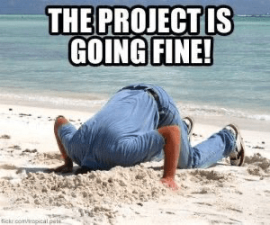 project is going fine meme