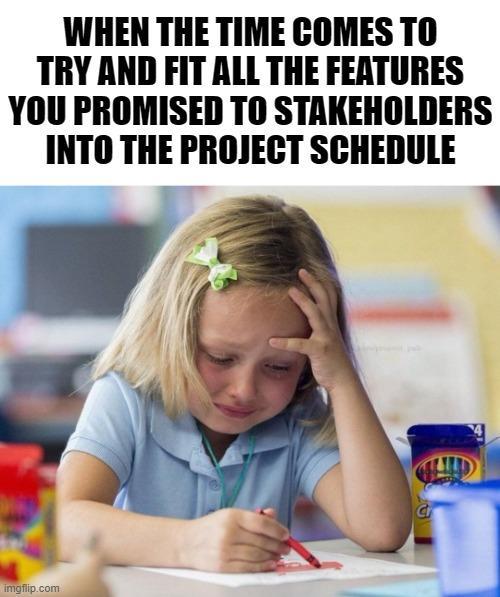 Project schedule meme