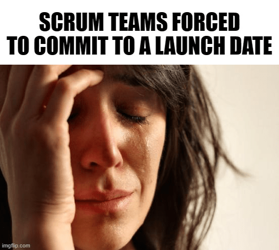 scrum teams meme