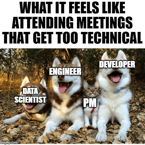 Technical jargon in project management meme