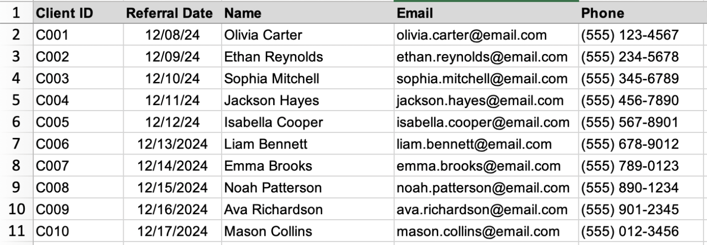 CRM data in MS Excel