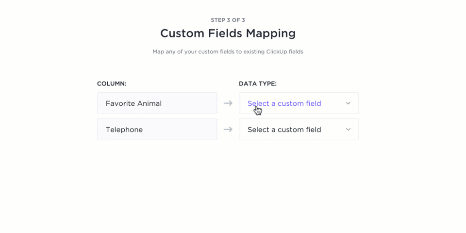 Create detailed profiles for different user segments, such as freelance designers or corporate teams, with ClickUp’s Custom Fields