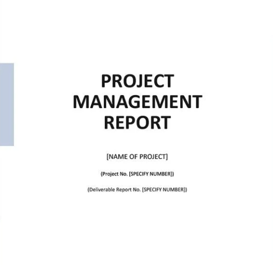 Simple Project Management Report Template by Template.net