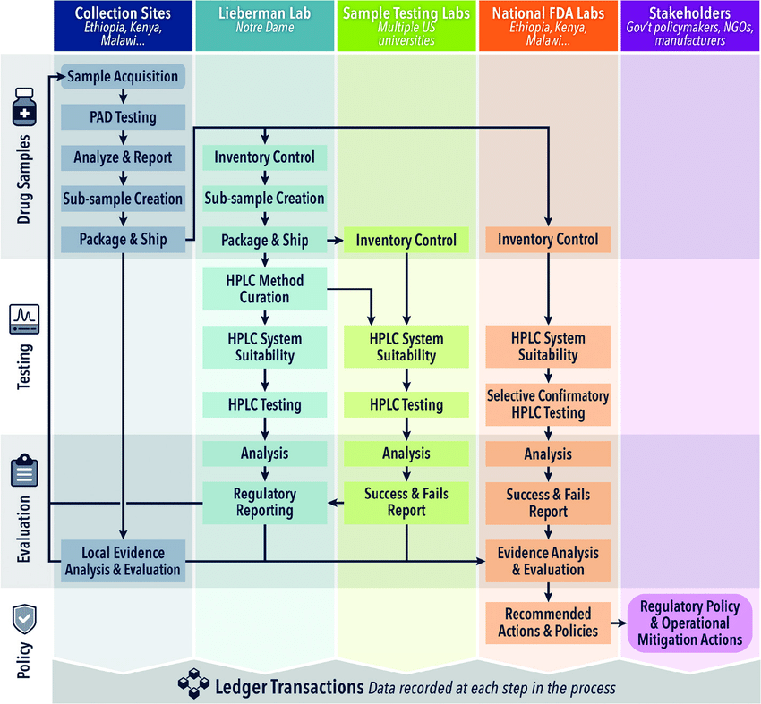 Diagrama de la línea de natación