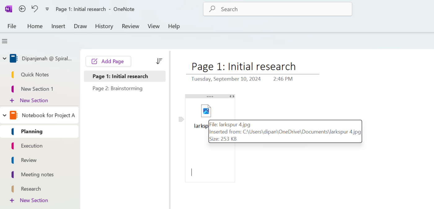 Cómo organizar OneNote - Insertar archivo