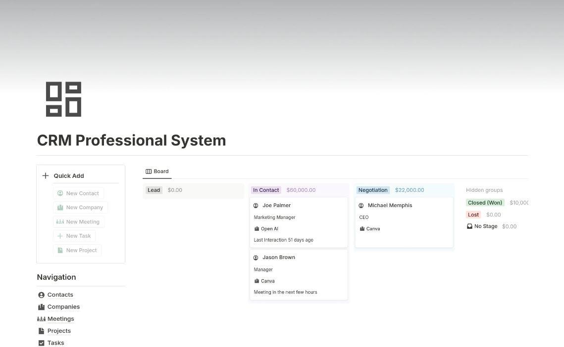 CRM Professional System Template