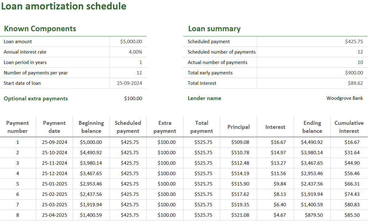 Review and adjust your amortization schedule Excel