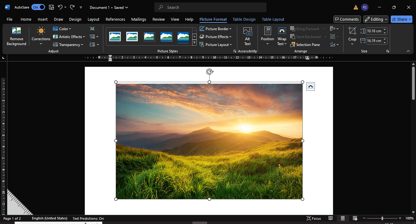 How to Draw in Word - Adding and formatting pictures