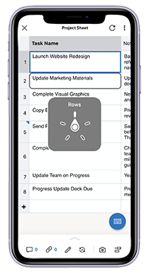 iOS app with accessibility features in Smartsheet