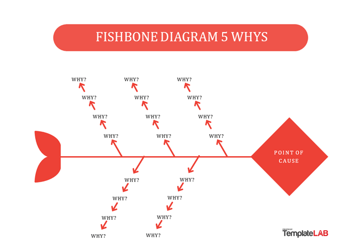 Fishbone Diagram Template Word: 5 Whys Word Fishbone Diagram Template by TemplateLAB