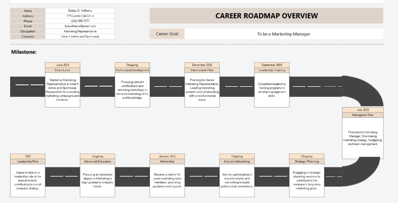 Career roadmap templates by Template.net for personal growth : career path template Excel