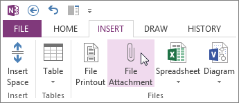 Centralizing resources with embedded files and multimedia