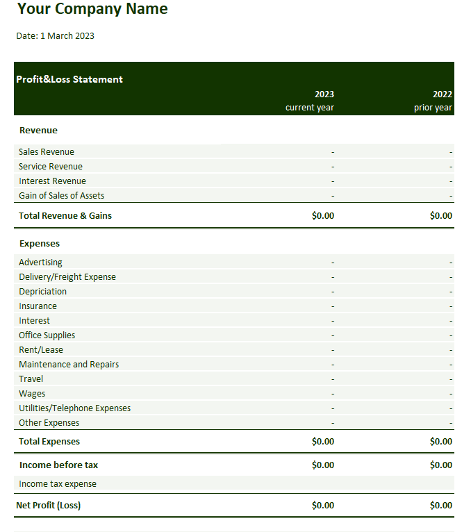 profit and loss statement template excel by Wise