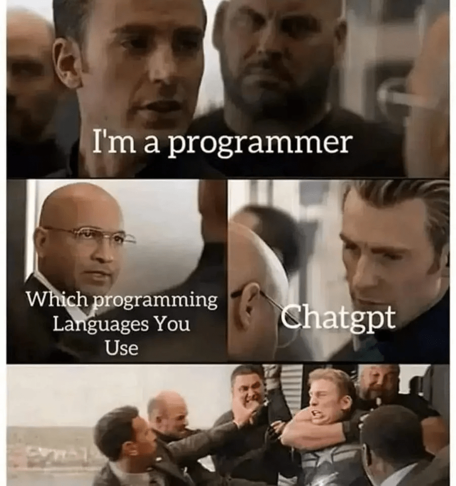 Programmer meme