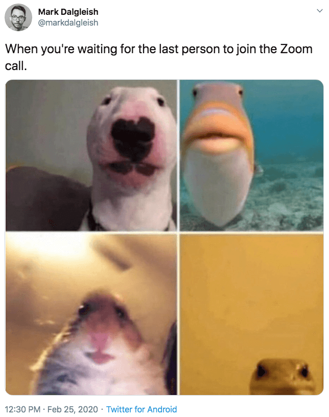 Waiting for others to join the meeting Zoom meme