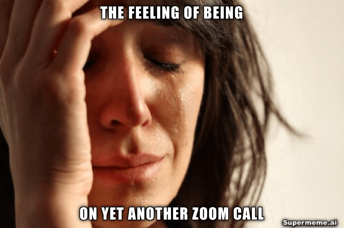 Feeling of being on a zoom call meme