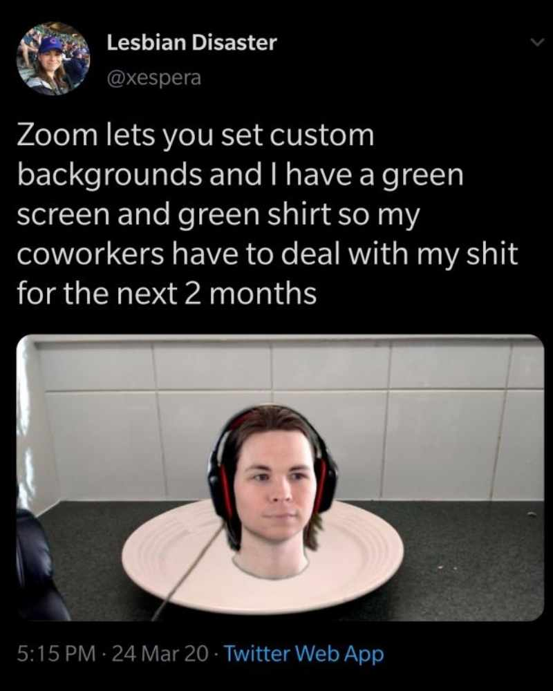 Guess I’m half here, half gone! zoom meme