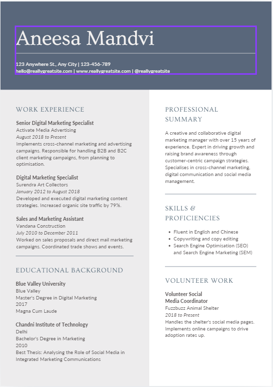 Digital Marketing Chronological Resume Template by Canva