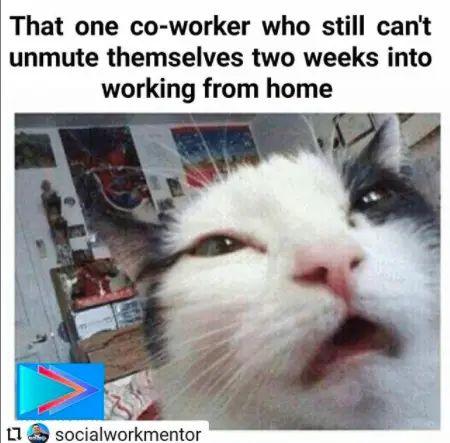 Zoom meme: Co-worker can't unmute themselves