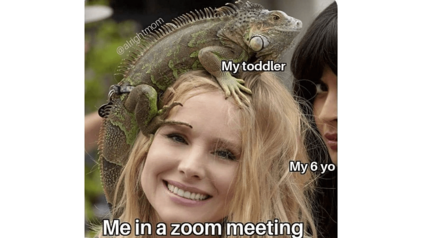 Kids clinging while you are in a Zoom meeting meme