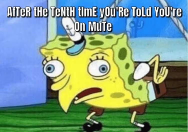 Zoom meme: being reminded that you are on mute