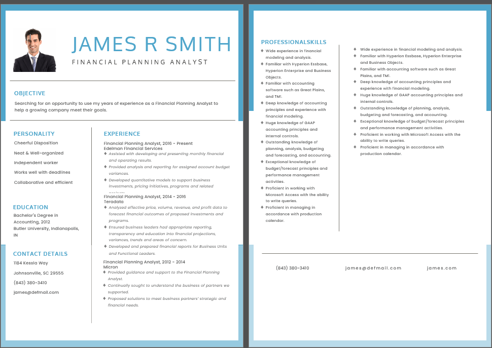 Financial Planning Analyst Chronological Resume by Template.Net