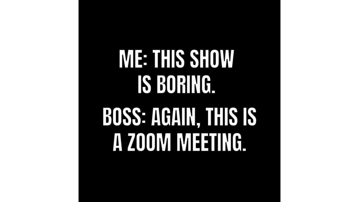 Zoom meetings are boring meme