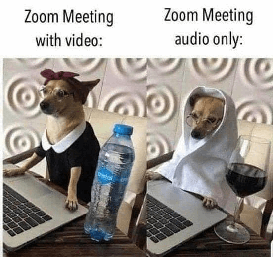 Zoom meme: How people dress up for video and audio only meetings