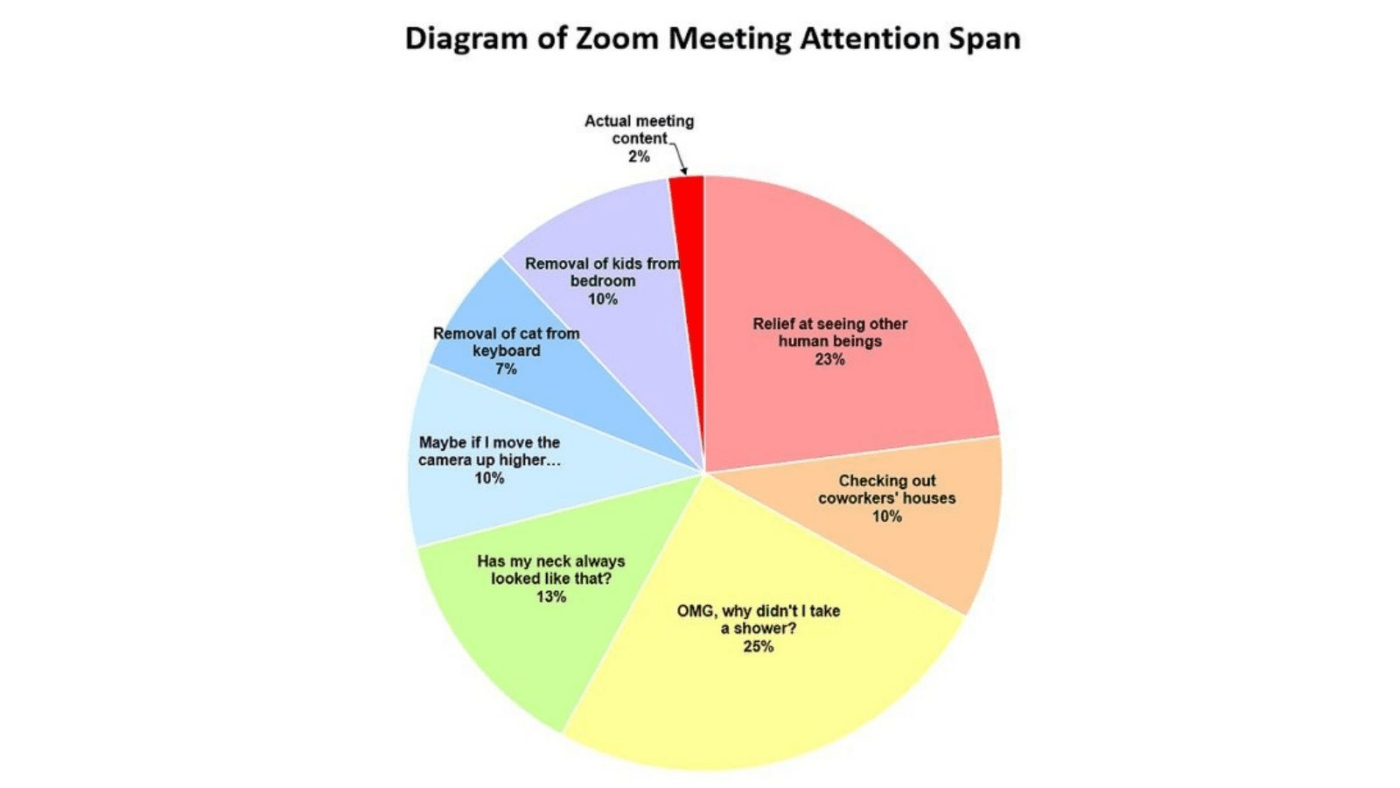 Short attention span during Zoom meeting meme