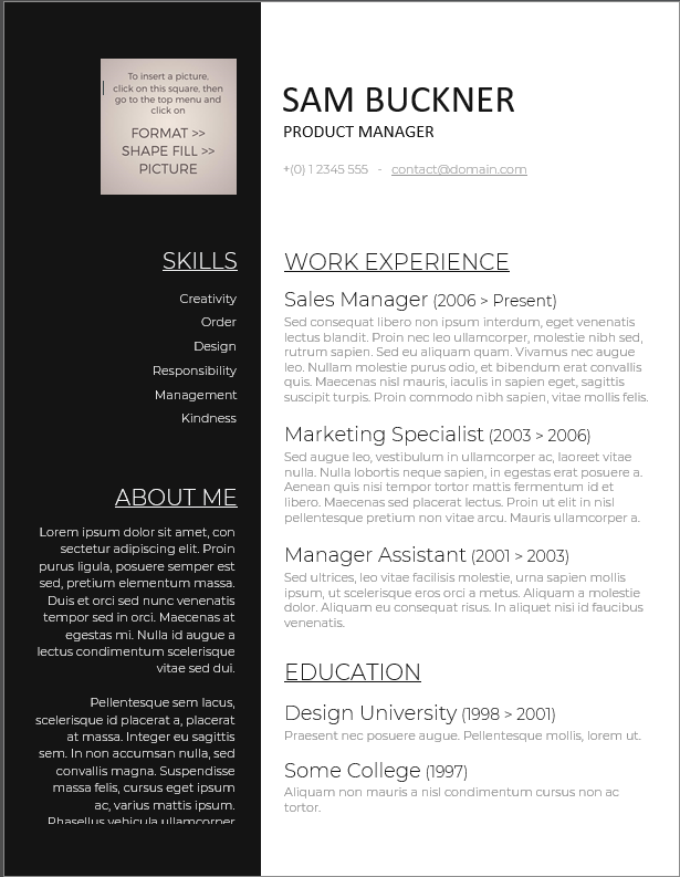 Product Management Chronological Resume Template by Freesumés