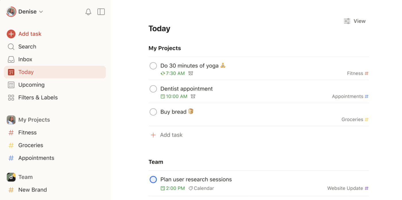 Minimalist To-Do List App: Todoist