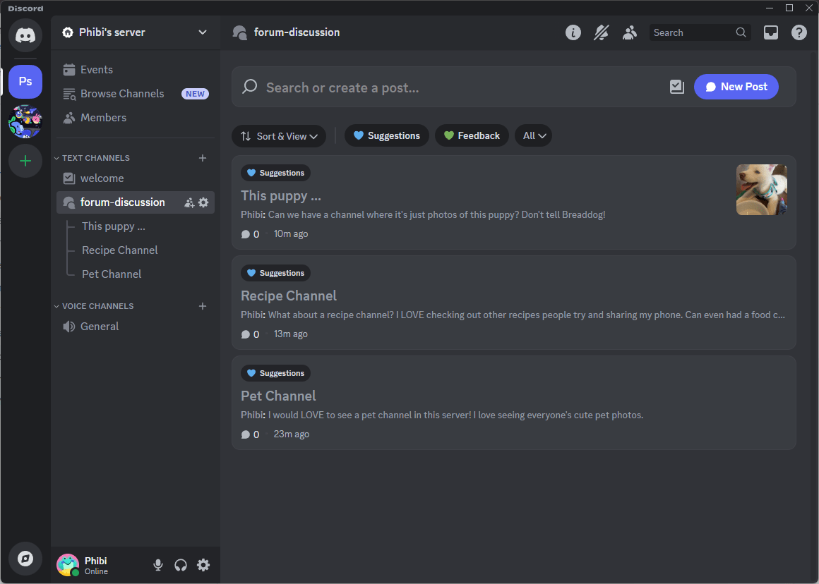 Chat rooms and forums in Discord