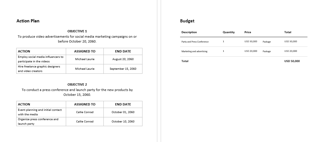 Product Development Marketing Plan Template by Template.Net